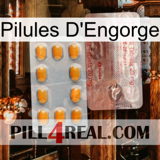 Engorge Pills new13